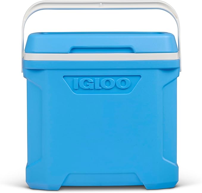 https://m.media-amazon.com/images/I/617fC1Z-JbL._AC_SX679_.jpg