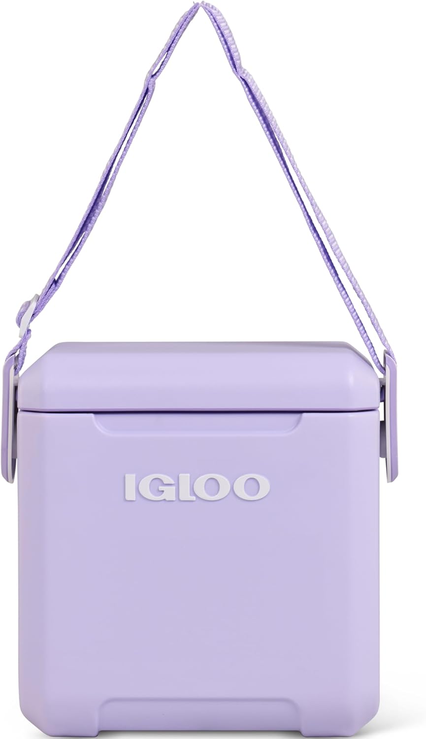 https://m.media-amazon.com/images/I/61DFEFnLTWL._AC_SL1500_.jpg