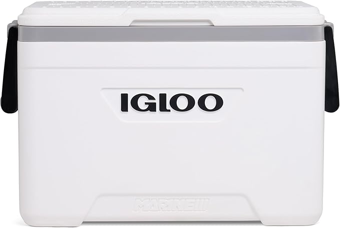 https://m.media-amazon.com/images/I/61P9NF6m9jL._AC_SX679_.jpg