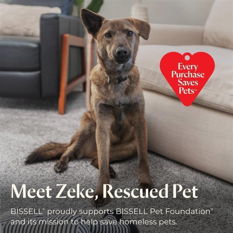 https://m.media-amazon.com/images/I/61SR-9D5eEL._AC_.jpg
