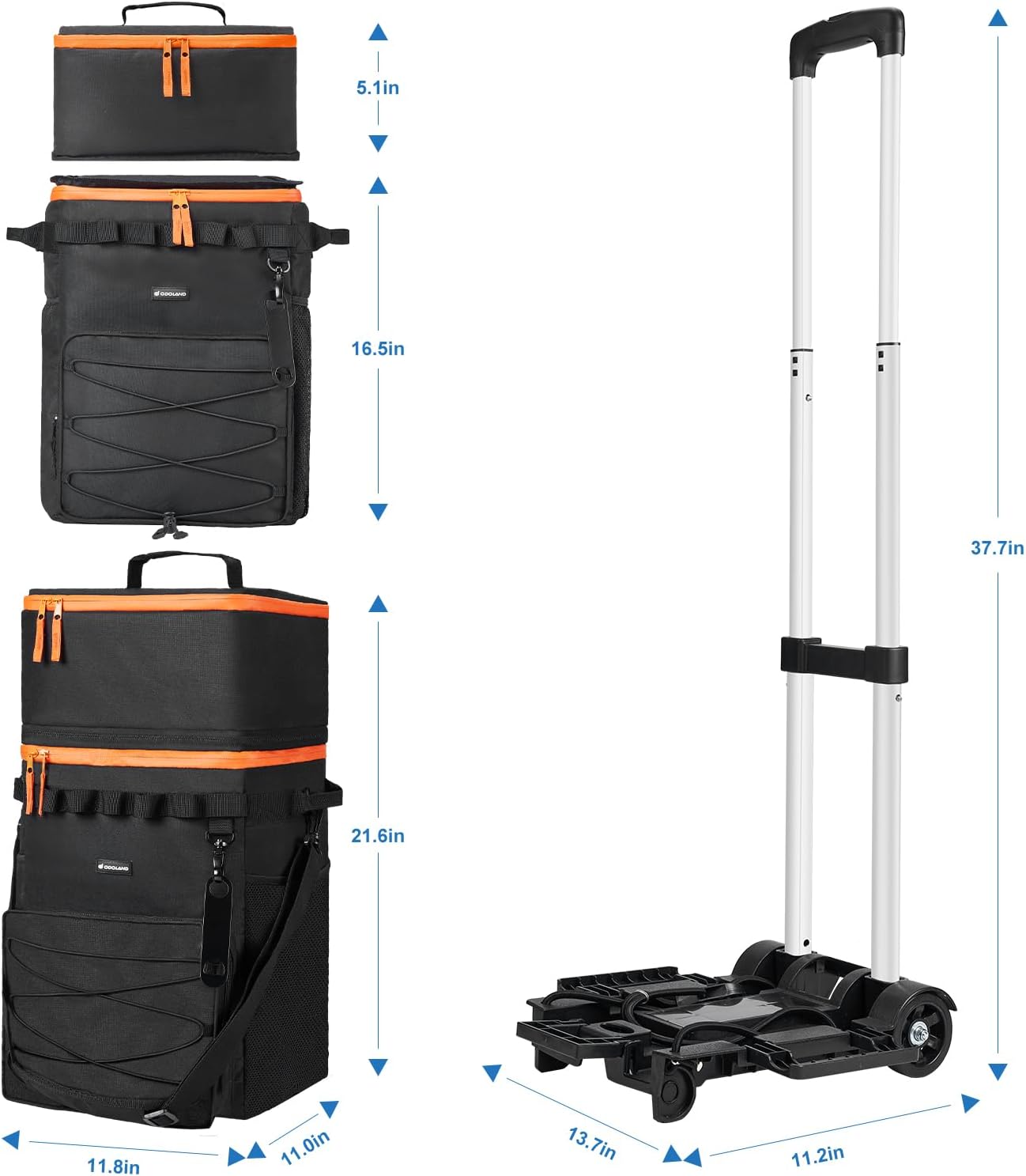 https://m.media-amazon.com/images/I/61VWIwPTw1L._AC_SL1500_.jpg