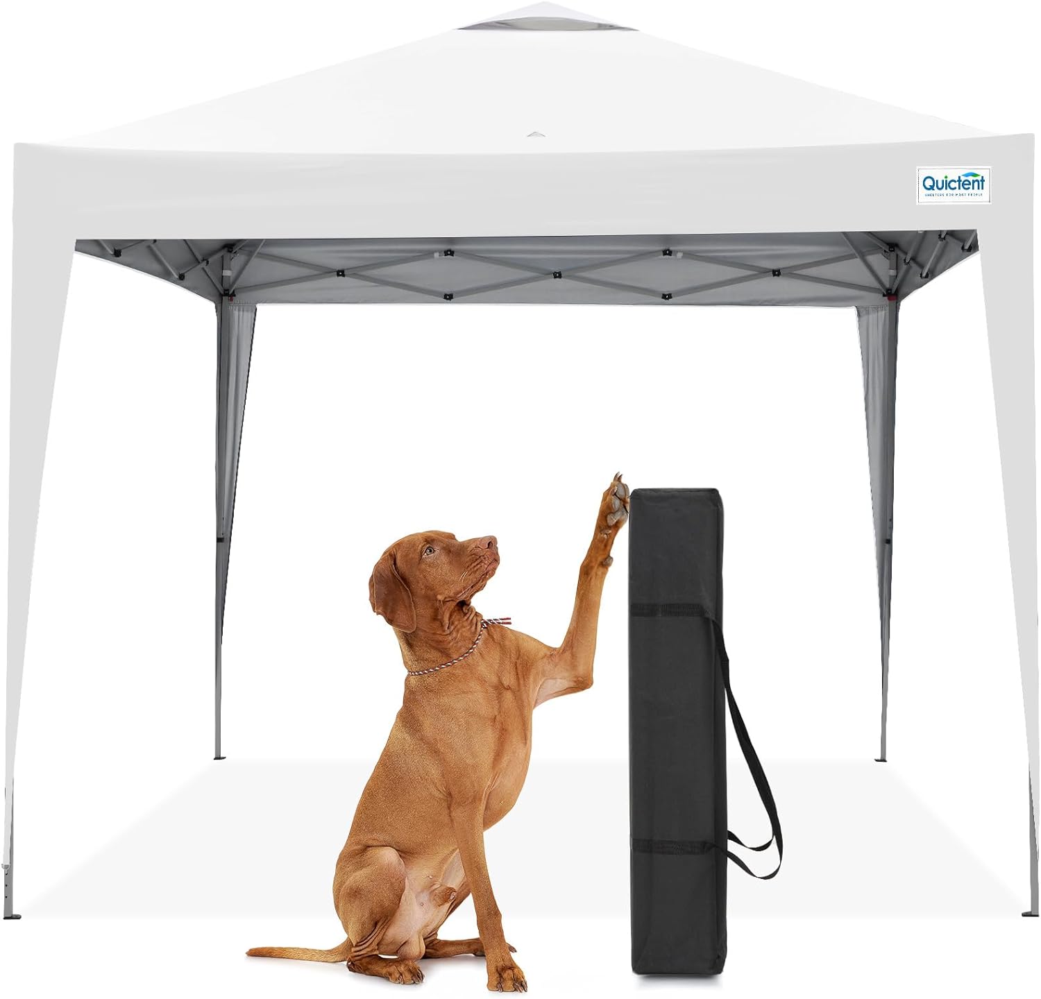 https://m.media-amazon.com/images/I/61XkfAVWuuL._AC_SL1500_.jpg