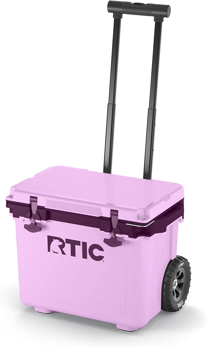 https://m.media-amazon.com/images/I/61bNI72m7EL._AC_SX679_.jpg