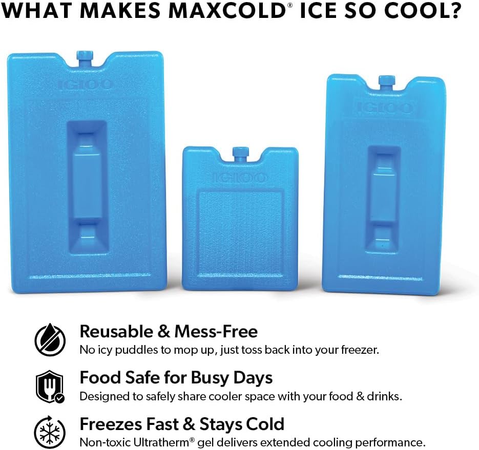 https://m.media-amazon.com/images/I/61rfWIdRhuL._AC_SL1000_.jpg