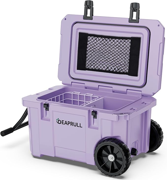 https://m.media-amazon.com/images/I/71EPpIhm47L._AC_SX679_.jpg