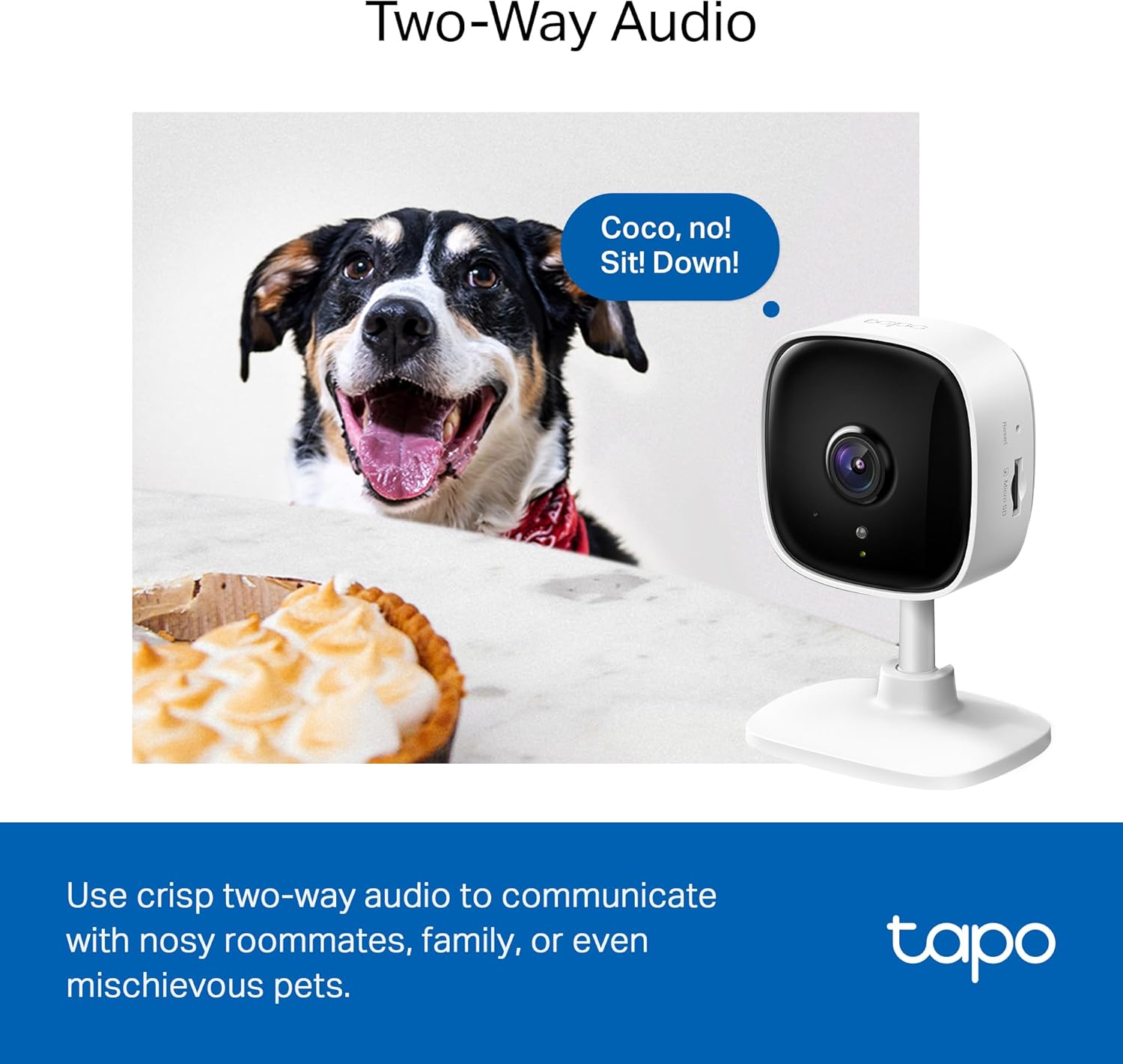 https://m.media-amazon.com/images/I/71T-CYXLzNL._AC_SL1500_.jpg