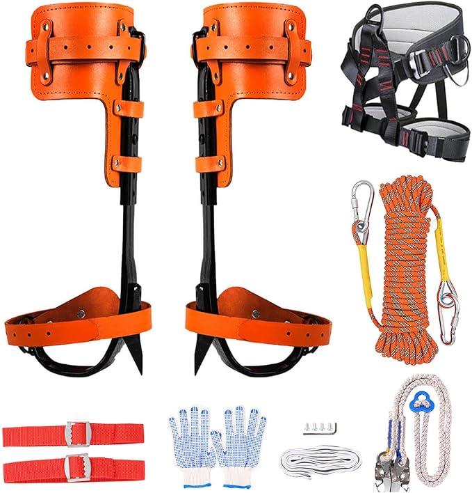 https://m.media-amazon.com/images/I/71Ul37SlgeL._AC_SX679_.jpg