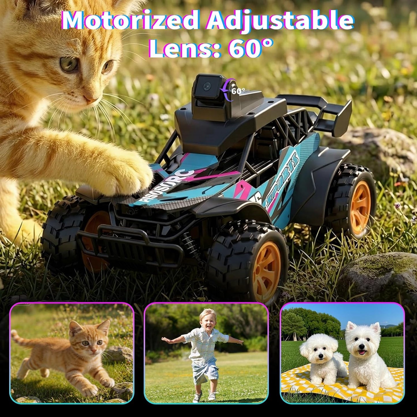 https://m.media-amazon.com/images/I/81F9hFlV1GL._AC_SL1500_.jpg