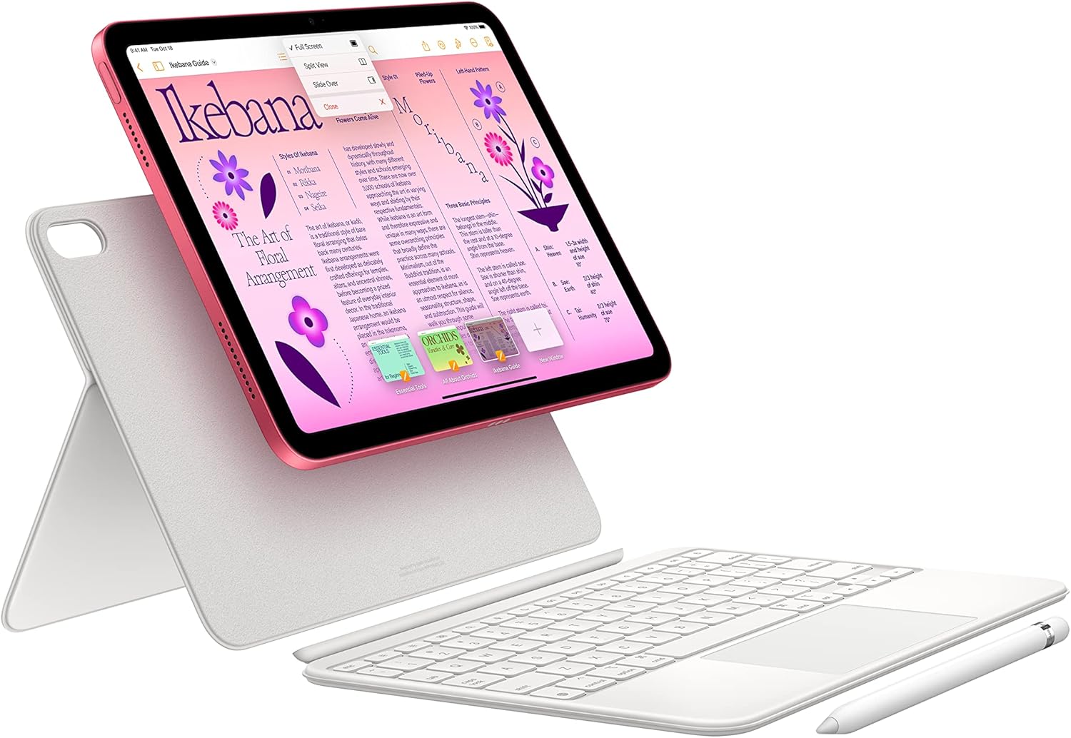 https://m.media-amazon.com/images/I/81MsD6BYu0L._AC_SL1500_.jpg
