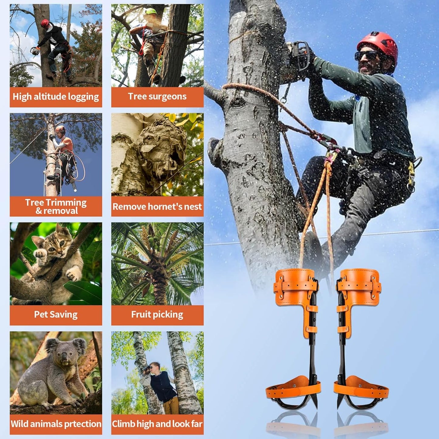 https://m.media-amazon.com/images/I/81+-lxftVAL._AC_SL1500_.jpg