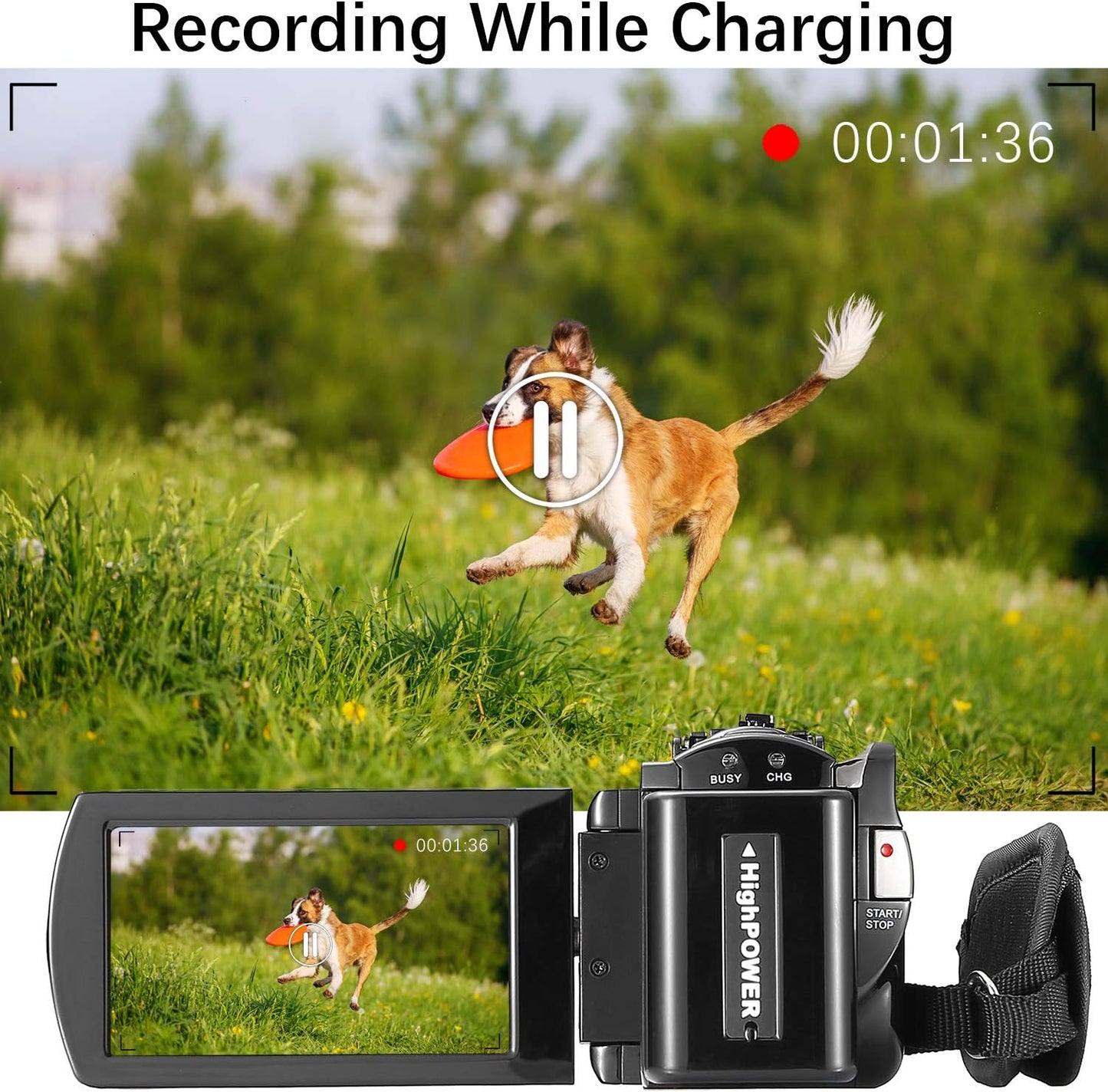 https://m.media-amazon.com/images/I/81bx6WI1F0L._AC_SL1500_.jpg