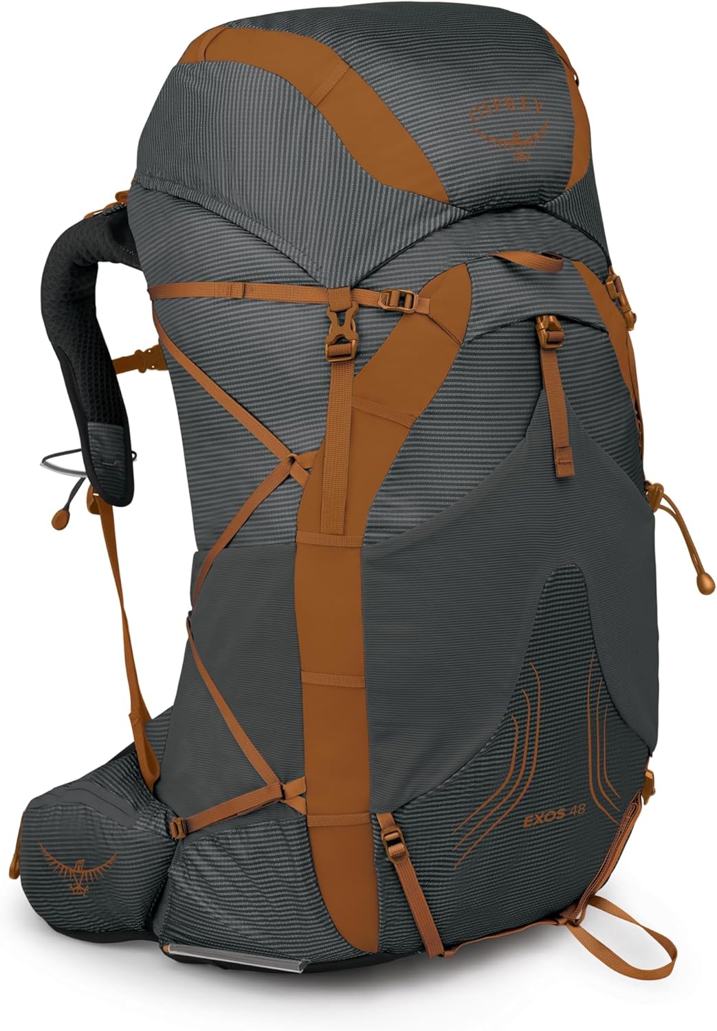 https://m.media-amazon.com/images/I/81lp-Wa6+NL._AC_SL1500_.jpg
