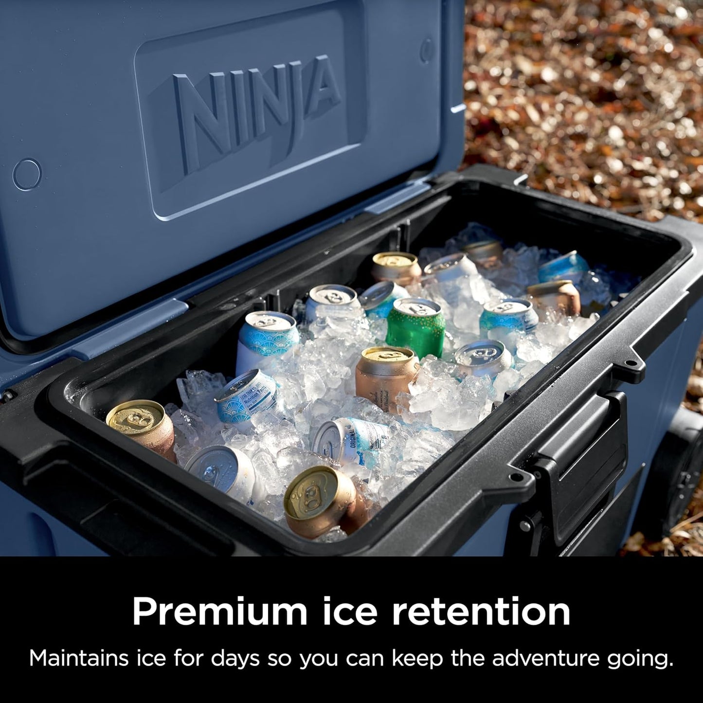 https://m.media-amazon.com/images/I/81uHxoU0GxL._AC_SL1500_.jpg